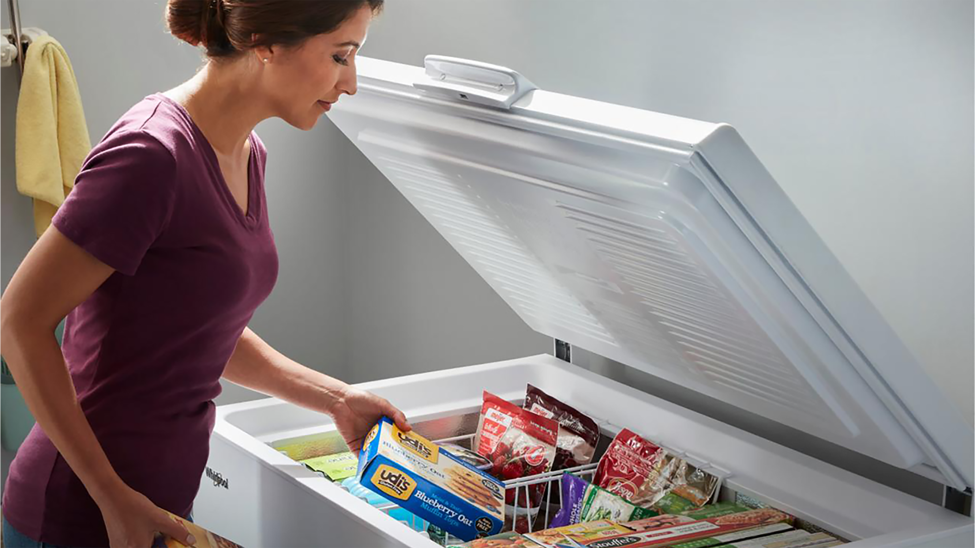 冷蔵庫・冷凍庫 Woody auto shops Freezers - The Home Depot
